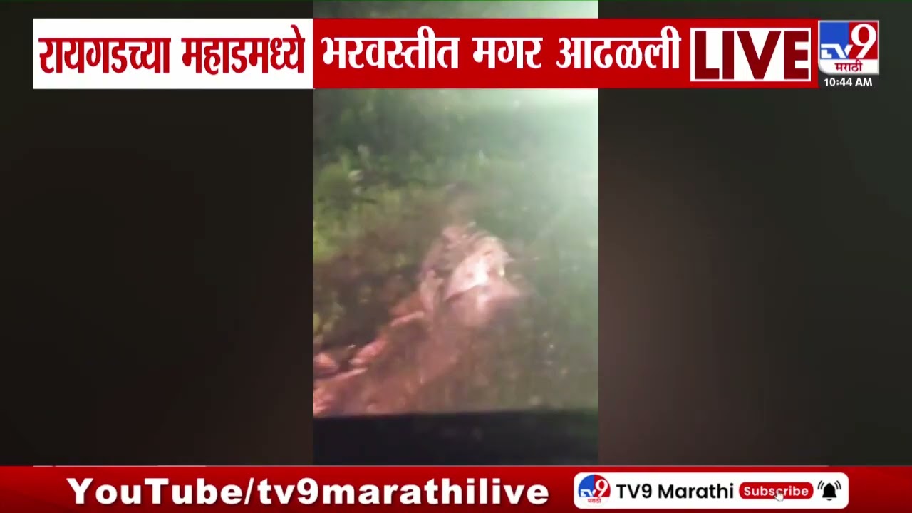 Raigad Mahad News | रायगडच्या महाडमध्ये भरवस्तीत मगर आढळली