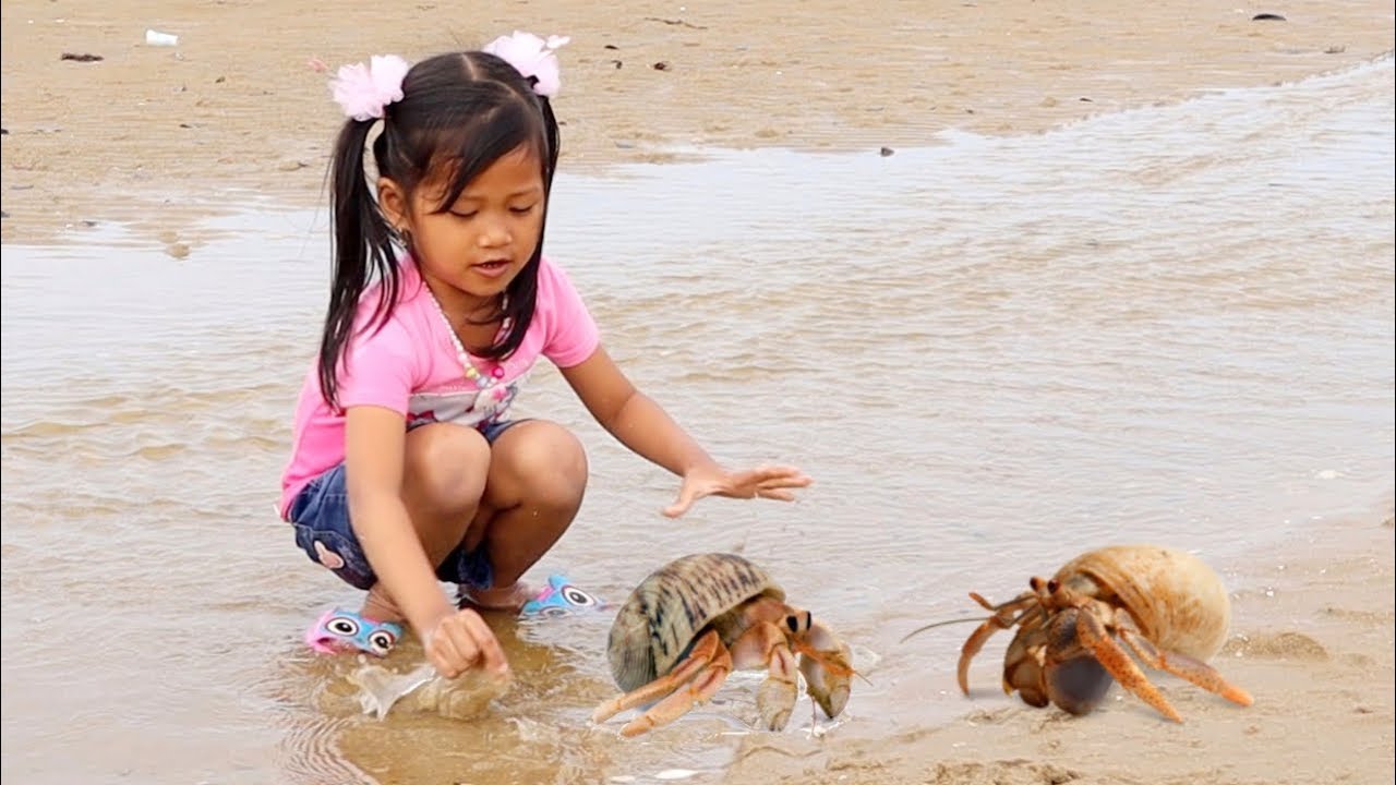 Yesss Dapat!! Berburu Kelomang Umang Umang - Liburan Seru Main di Pantai Bermain Air & Naik Perahu