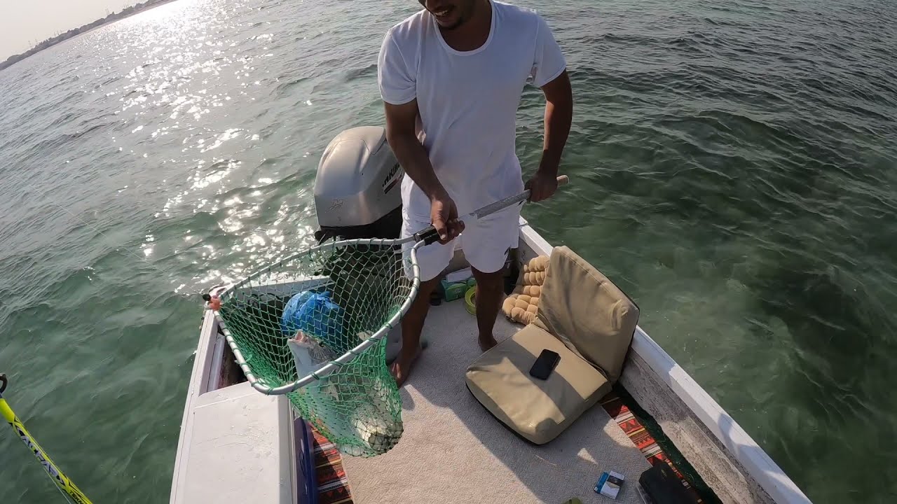 صيد سبيطي حداق جنوب الكويت ١٦/١١/٢١