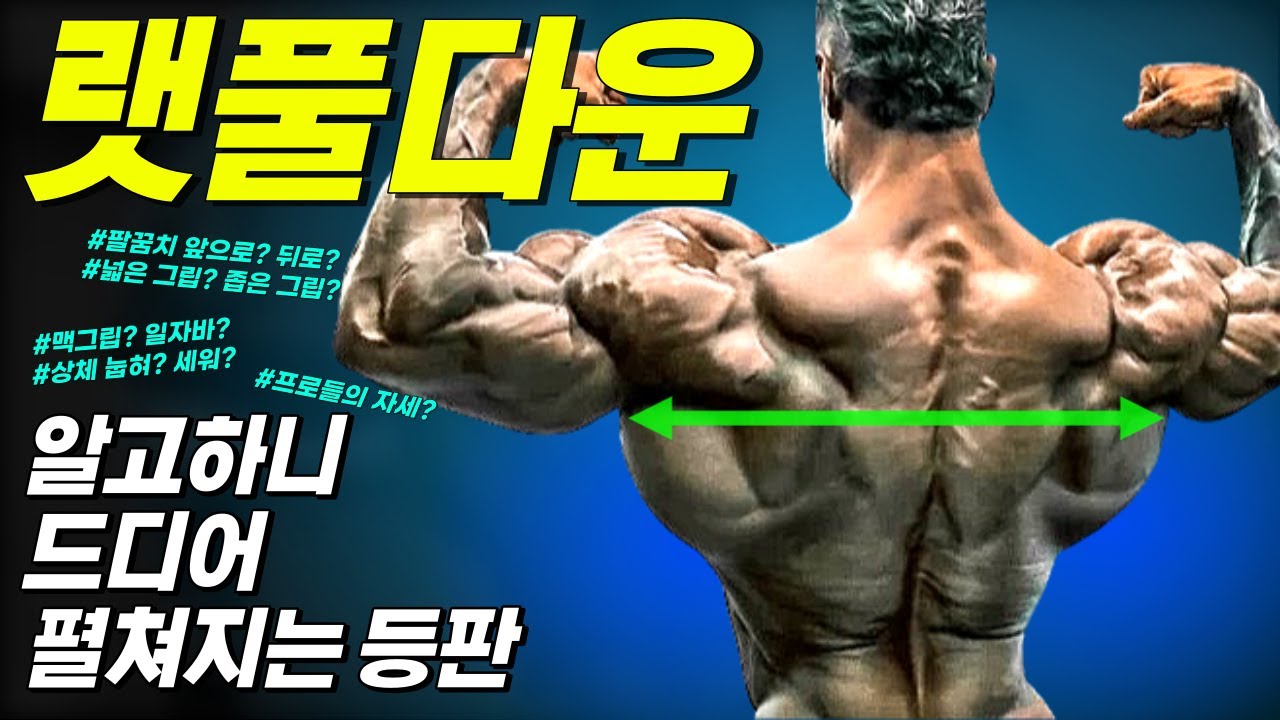 [랫풀다운] 등 운동의 기본! '이 운동'만 제대로 하시면 넓은 등 만드실 수 있습니다 (랫풀다운 제대로 알기)