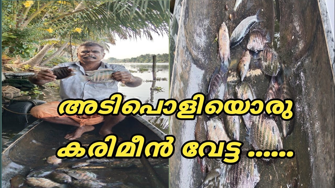 അടിപൊളിയൊരു കരിമീൻ വേട്ട ......@ldandrdmedia604