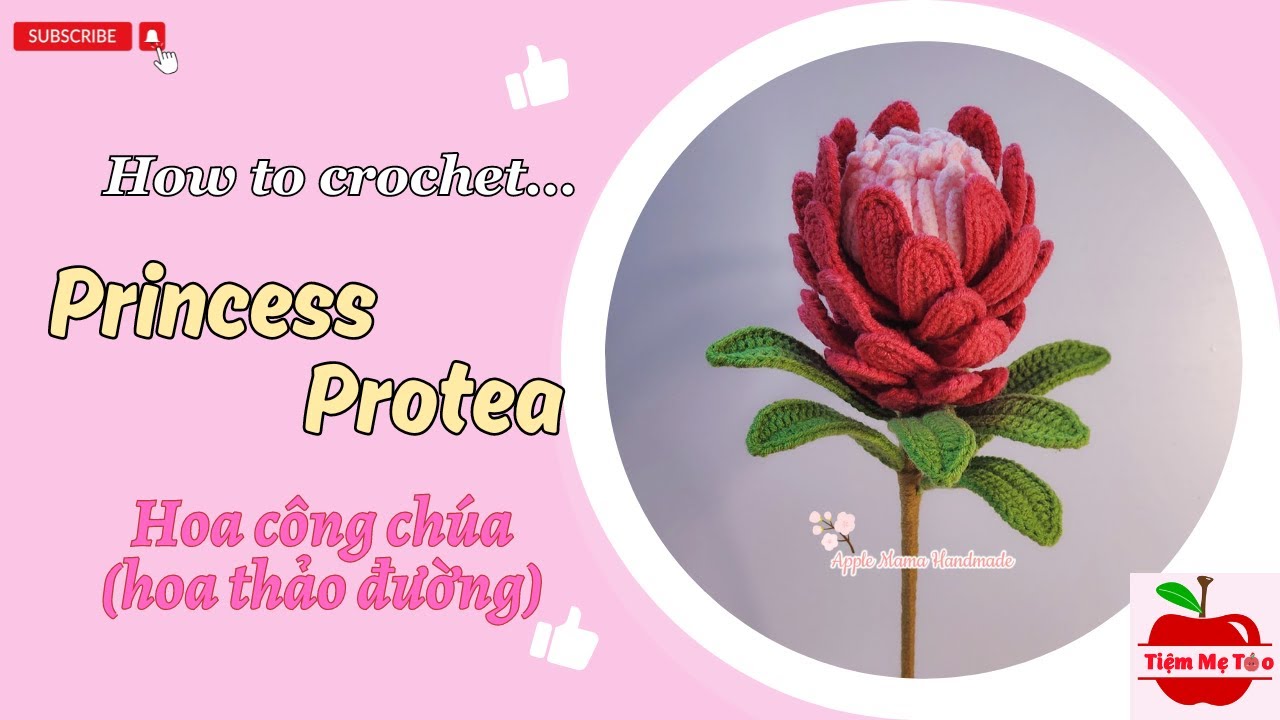#21 Hướng dẫn móc hoa Protea ( Hoa thảo đường/ hoa công chúa)/ How to crochet Princess Protea