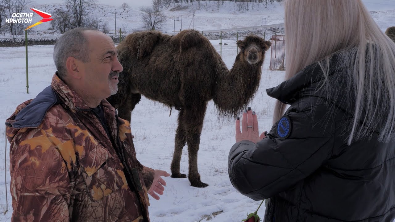 Зильги I Вокзал для двоих