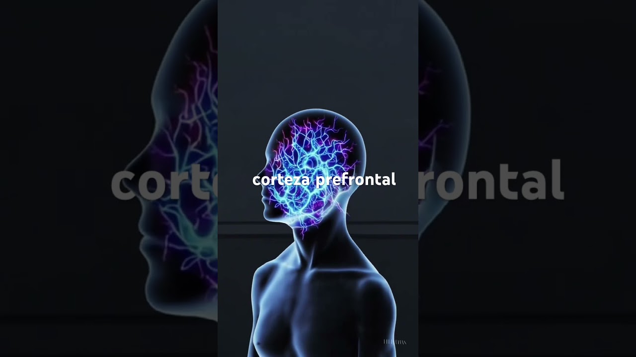👉 Pensar DEMASIADO te est&aacute; BLOQUEANDO 🧠 #neurociencia #viral #motivaci&oacute;n #meditacion #cerebro