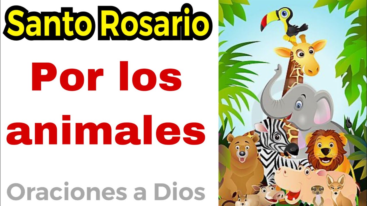 Santo Rosario por los animales -🙏 ORACIONES A DIOS