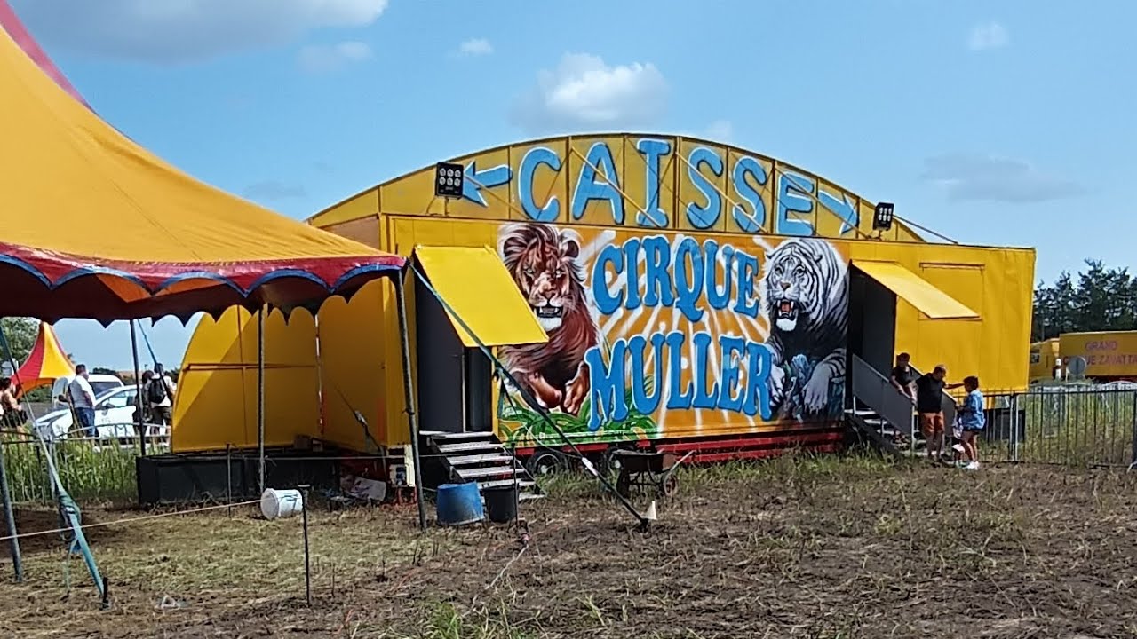 cirque zavatta Muller