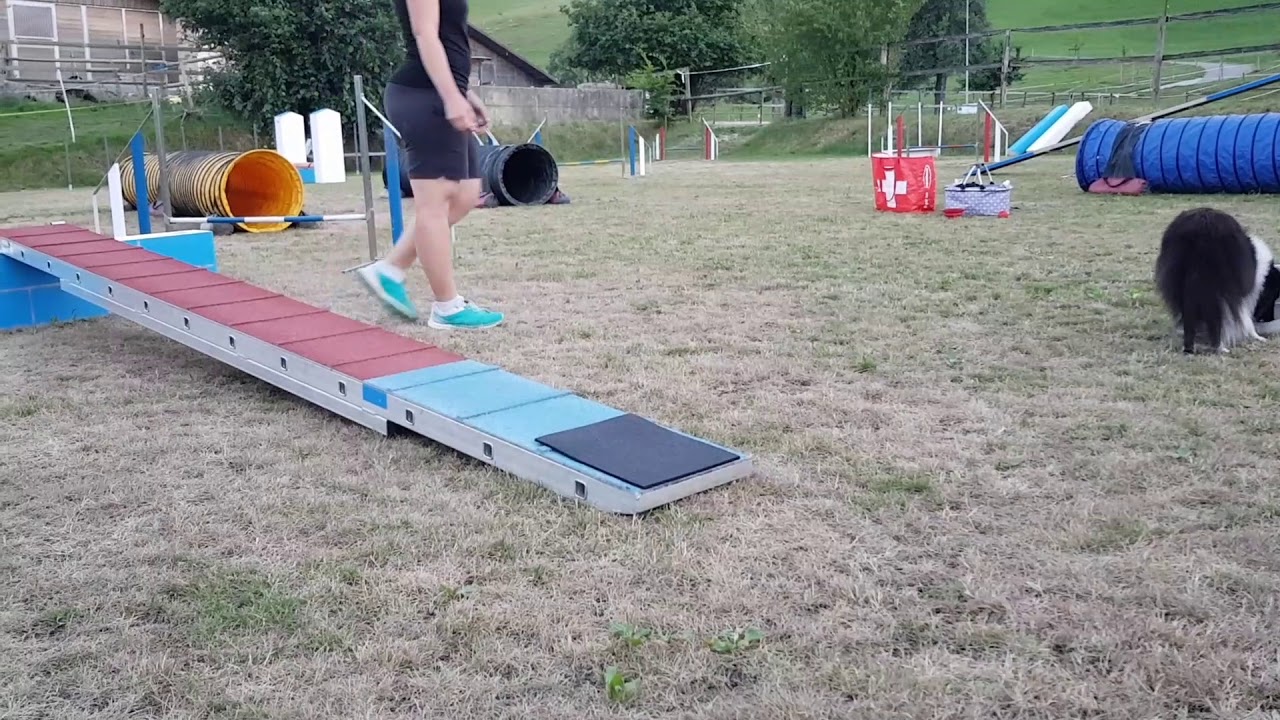 Basic RC - Unit - Graduation Video