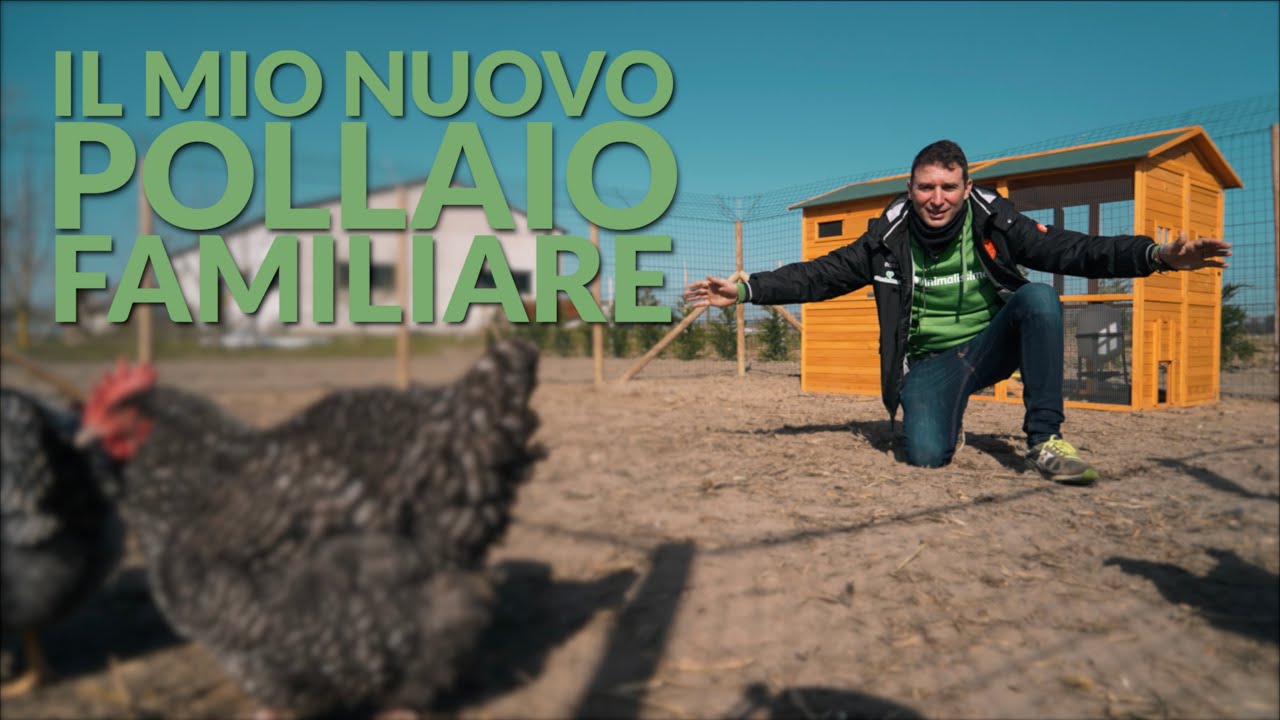 Il mio Pollaio Famigliare: perchè ho scelto di avere un nuovo pollaio?
