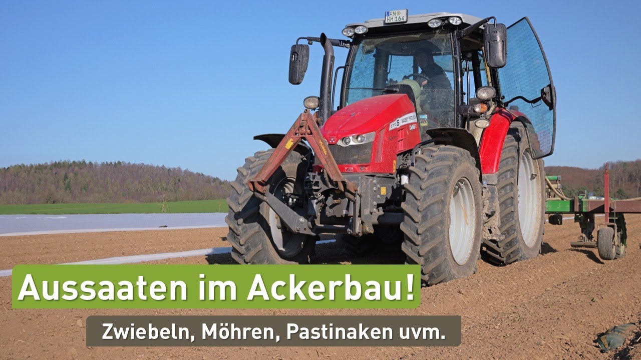 Jetzt aussäen! 🌱 Möhre, Pastinake, Rote Bete & Co 🥕 so machen es die Profis 🚜 Direktsaat im Freiland