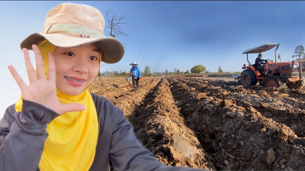 👩‍🌾แดดอุ่น ลมหนาว กับชาวนา #ยังอยู่กลางทุ่งปลูกมันเหมือนเดิมค่ะ😊เพิ่มมาคือรายล้อมด้วยธรรมชาติสวยๆ🏞️