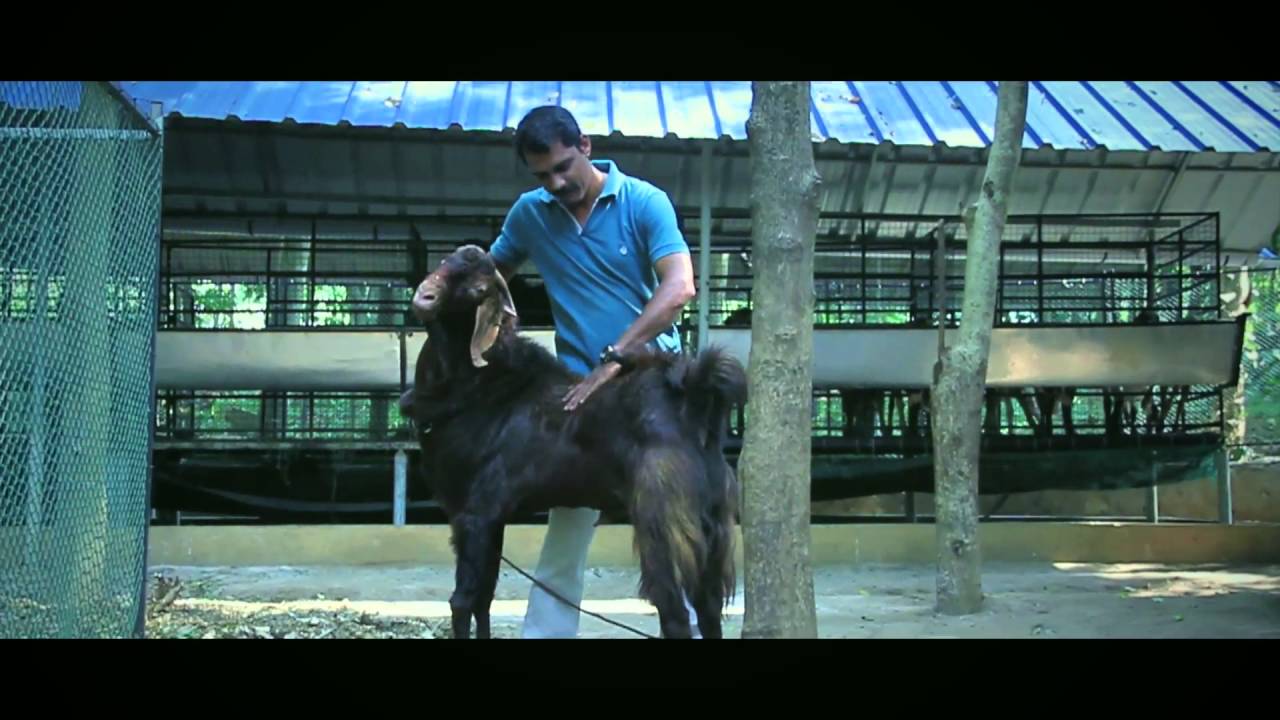 Farm Chalakudy