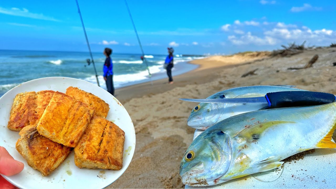 PESQUEI e PREPAREI os PEIXES MAIS SABOROSOS do MUNDO! Pescaria de praia com iscas naturais