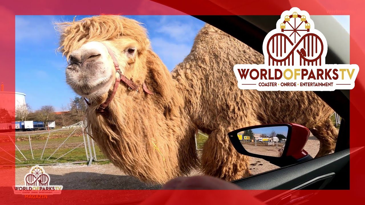Wunderland Kalkar 2021 - Auto Safari Circus Maximum Safariland Kernies Wunderland Kalkar Autosafari