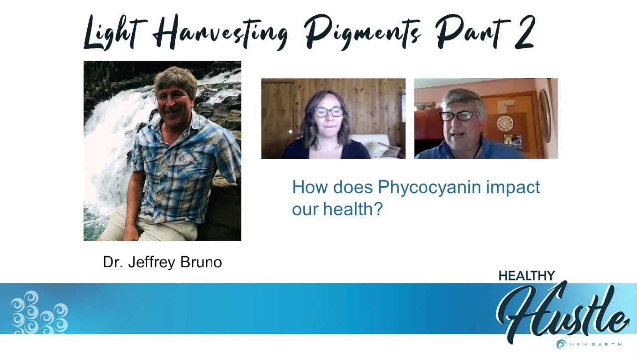 Phytopigments Part 2&mdash;Phycocyanin the Magical Blue Phytopigment