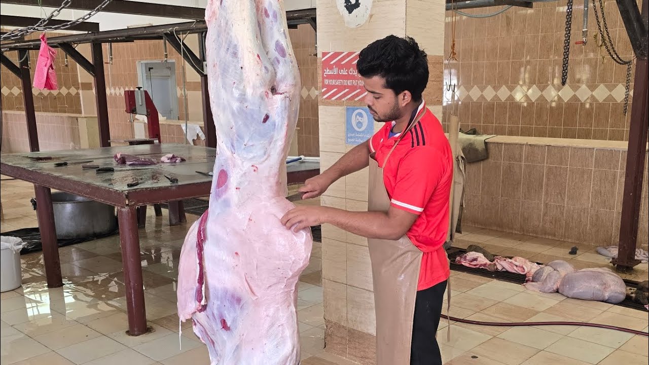 Amazing Step-by-Step Camel cutting by professional Butcher's skills😱🔪