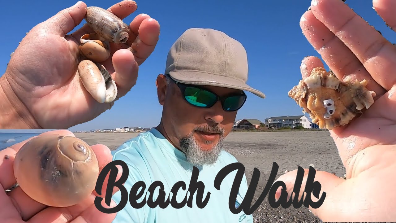 SEASHELLS ON HOLDEN BEACH NC