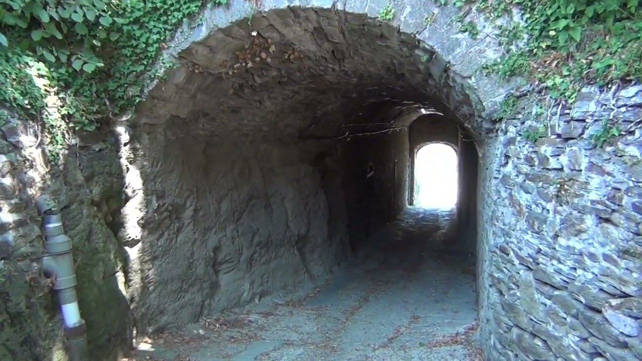 LA CHARTREUSE DE  SAINTE CROIX EN  JAREZ, 42210