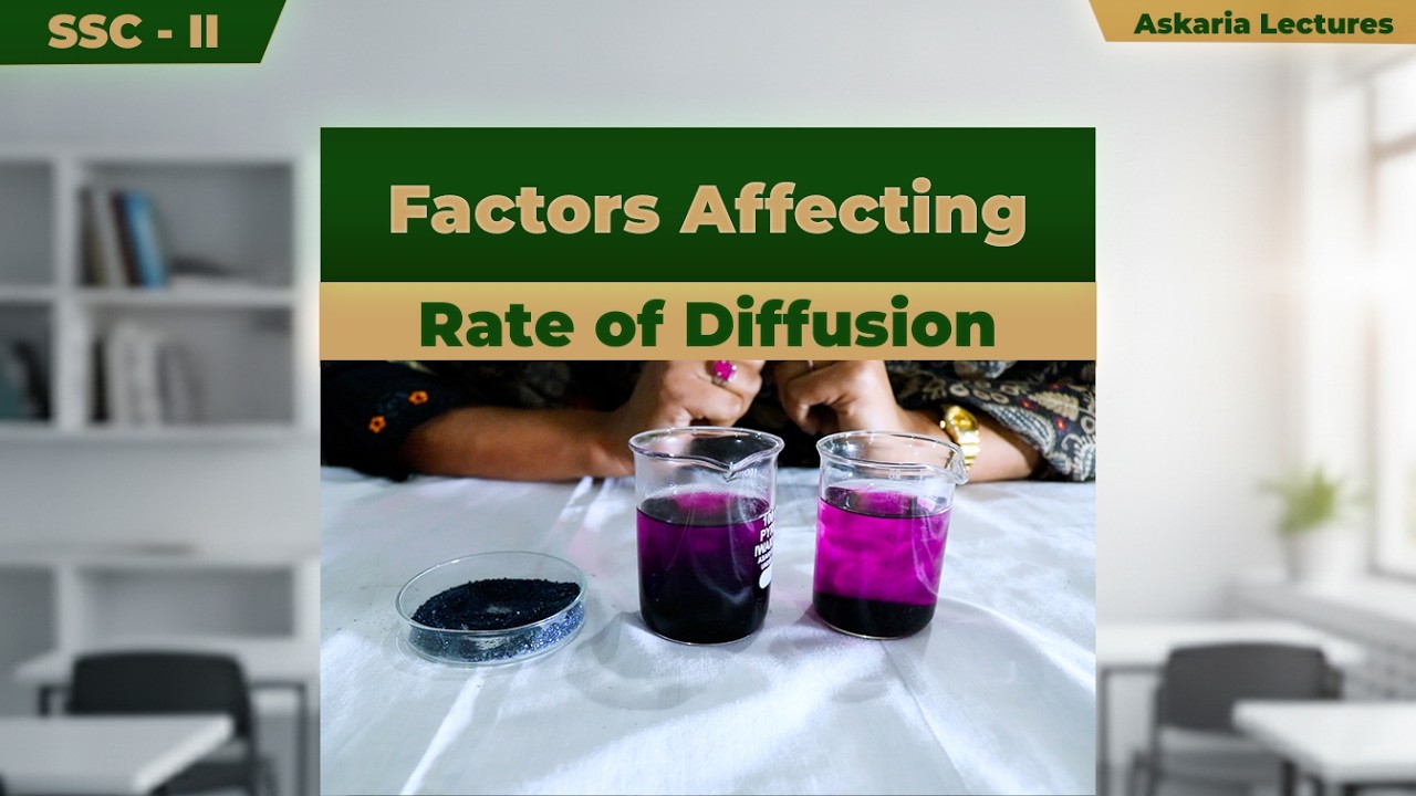 Factors Affecting the Rate of Diffusion | Sadia Hidayat