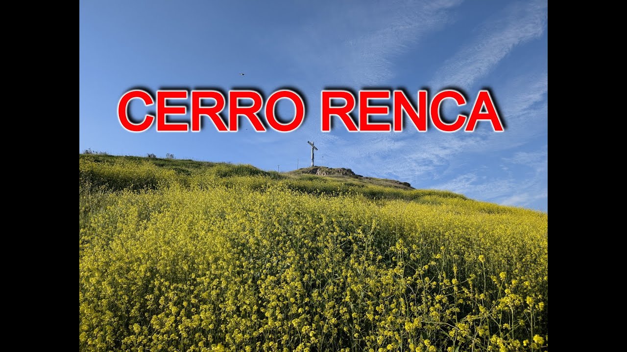 CERRO RENCA (PRIMAVERAL) - SANTIAGO, CHILE 4K60