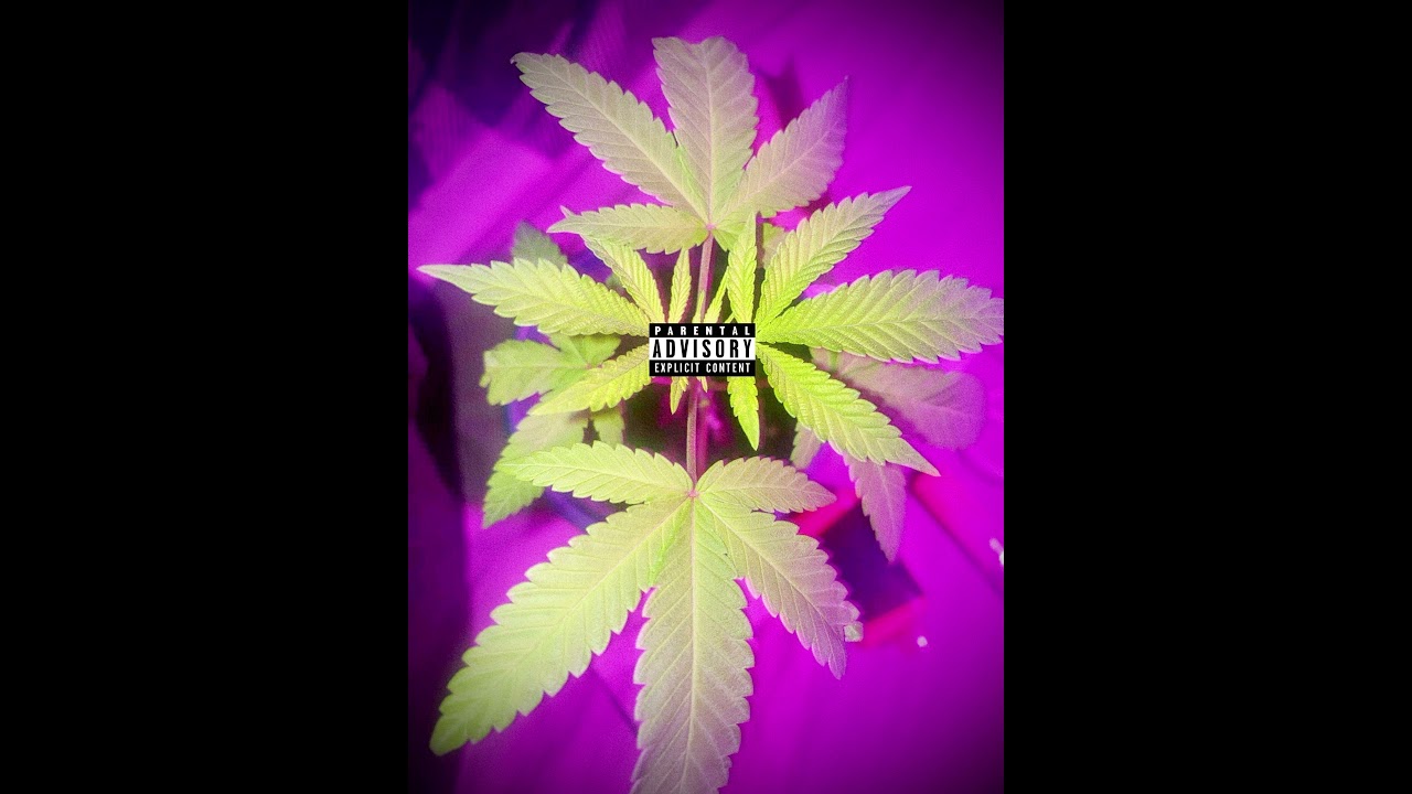 Rude (Prod. jul x jane cocaine)