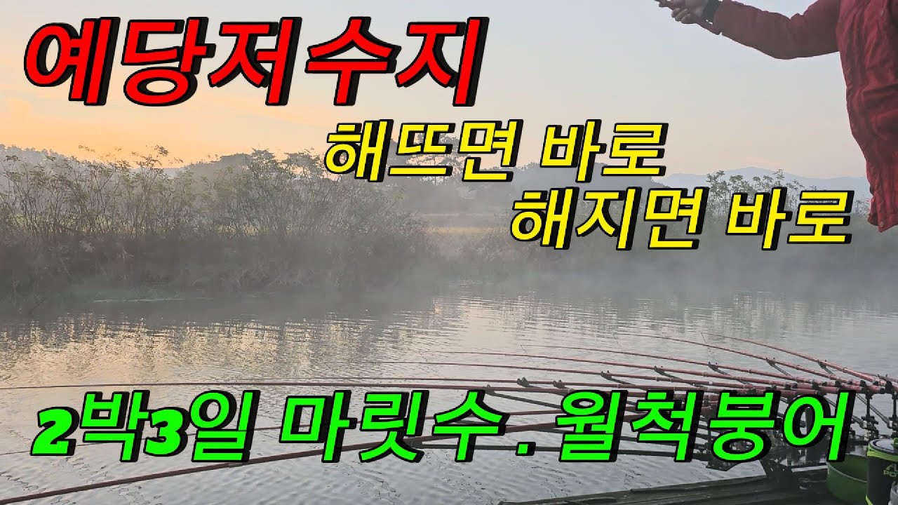 예당지 2박3일 좌대에서 2박3일동안 마릿수.월척붕어를 만났어요 ~! / 붕어낚시 민물낚시
