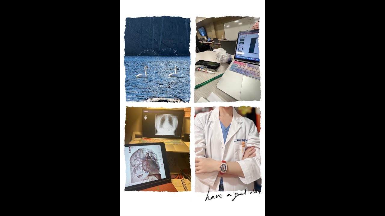 Nurse Practitioner研究生日常 期中已过，本学期还有两个月