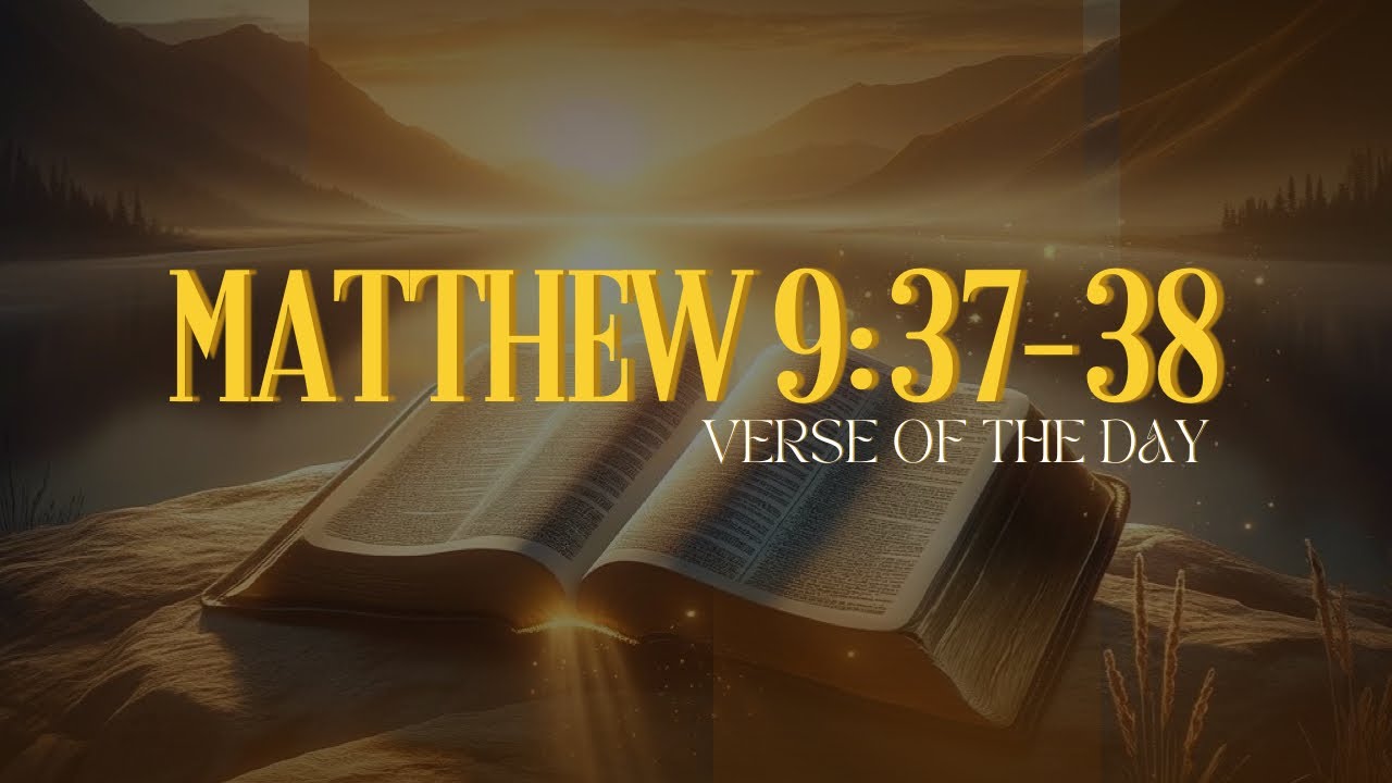 The Harvest is Plentiful: Understanding Matthew 9:37-38