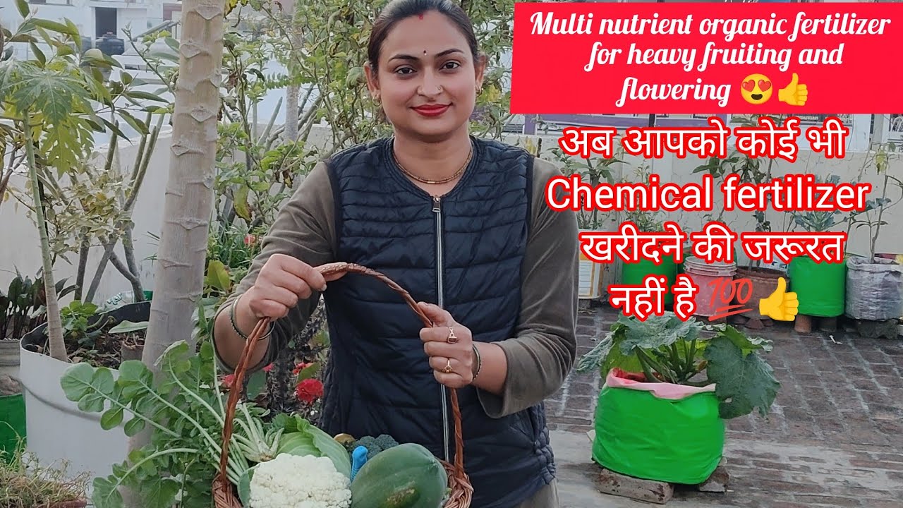 Multi nutrient organic fertilizer for heavy fruiting and flowering 😍/no need to buy chemical compost