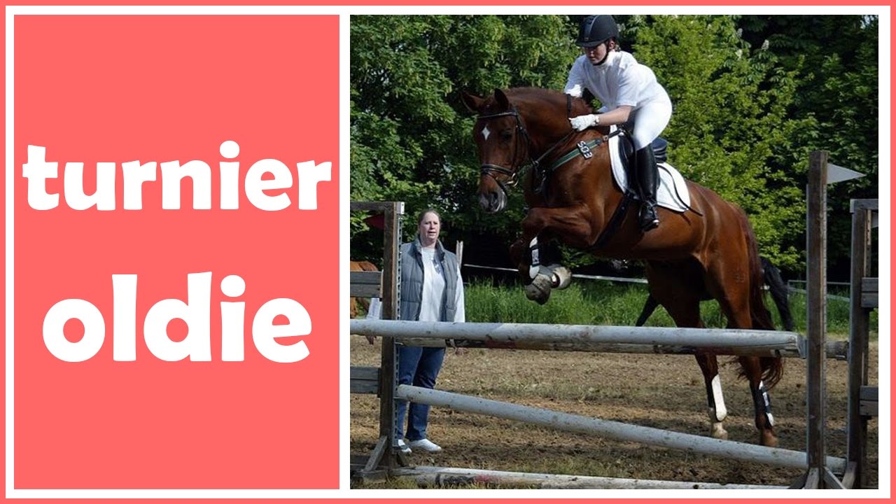 4. Platz A-Springen #Turnier #Oldie #Schleifenpony