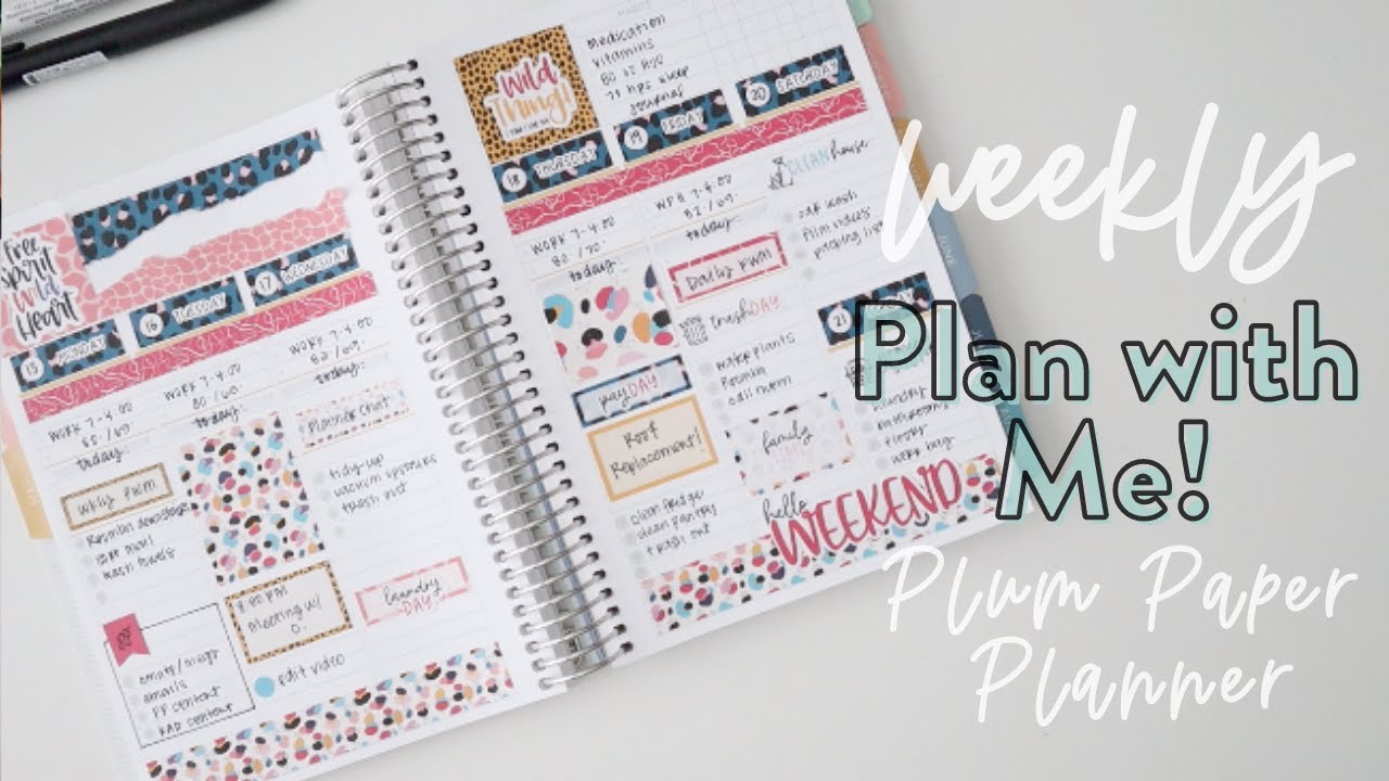 PLAN WITH ME! | PlumPaper Vertical Priorities