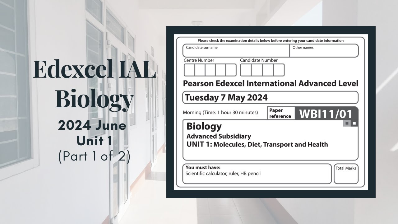 Июнь 2024 г. Модуль 1 Edexcel IAL Биология (WBI11/01) || Часть 1 из 2 (вопросы 1-5)