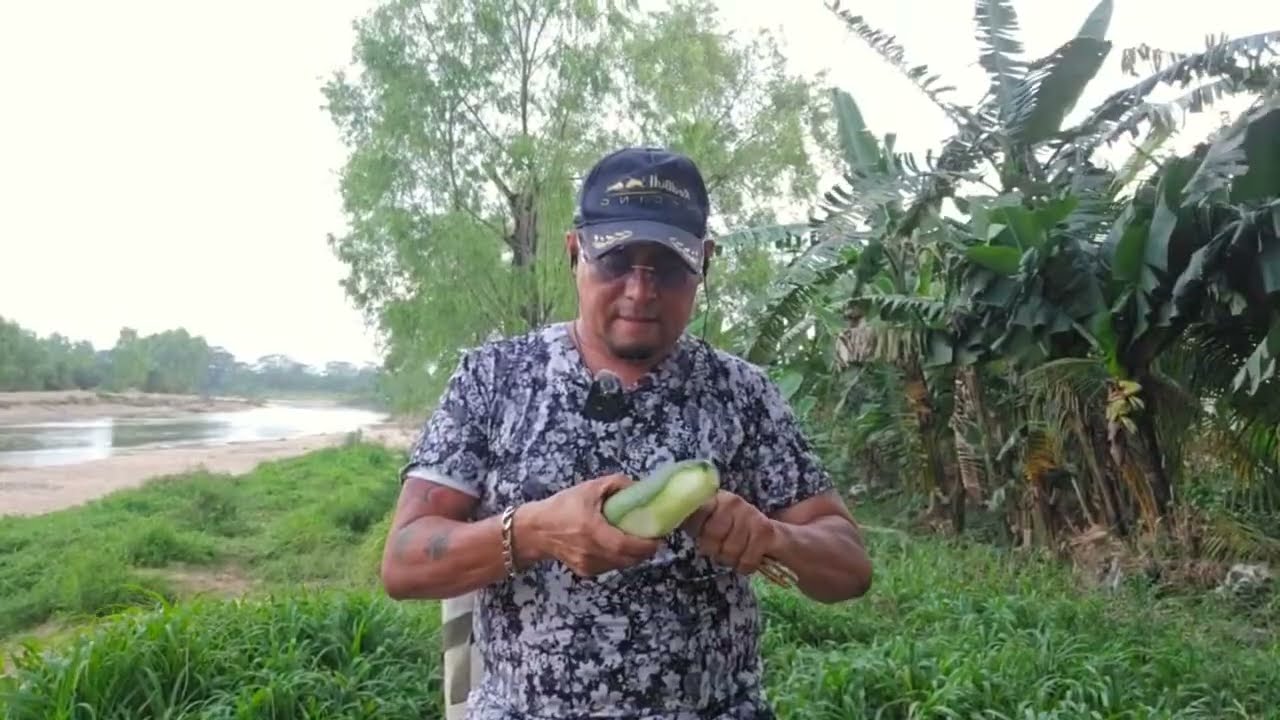 BUENAS TARDES A TODOS