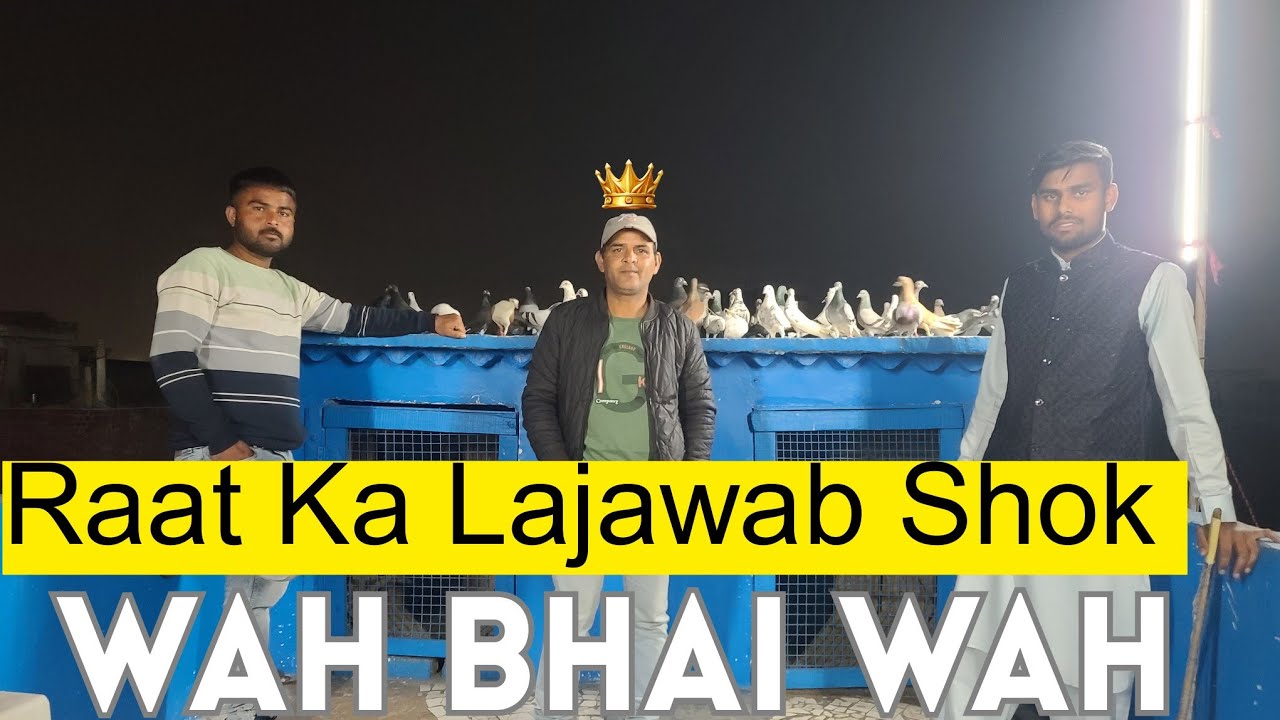 Raat Me Kabootar Gayab 🙄 || Ustad Tousheem Bhai Ka Hunar ||@pigeonscarefactory5328 