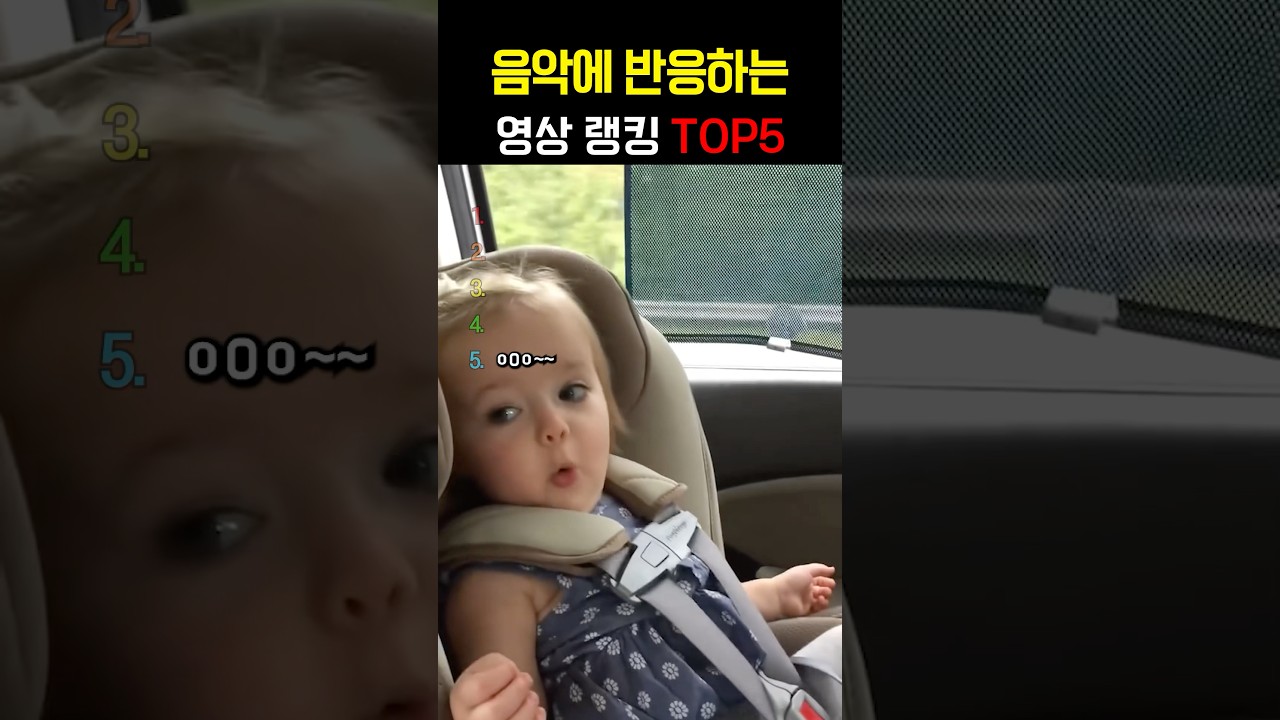 음악에 반응하는 영상 랭킹TOP5