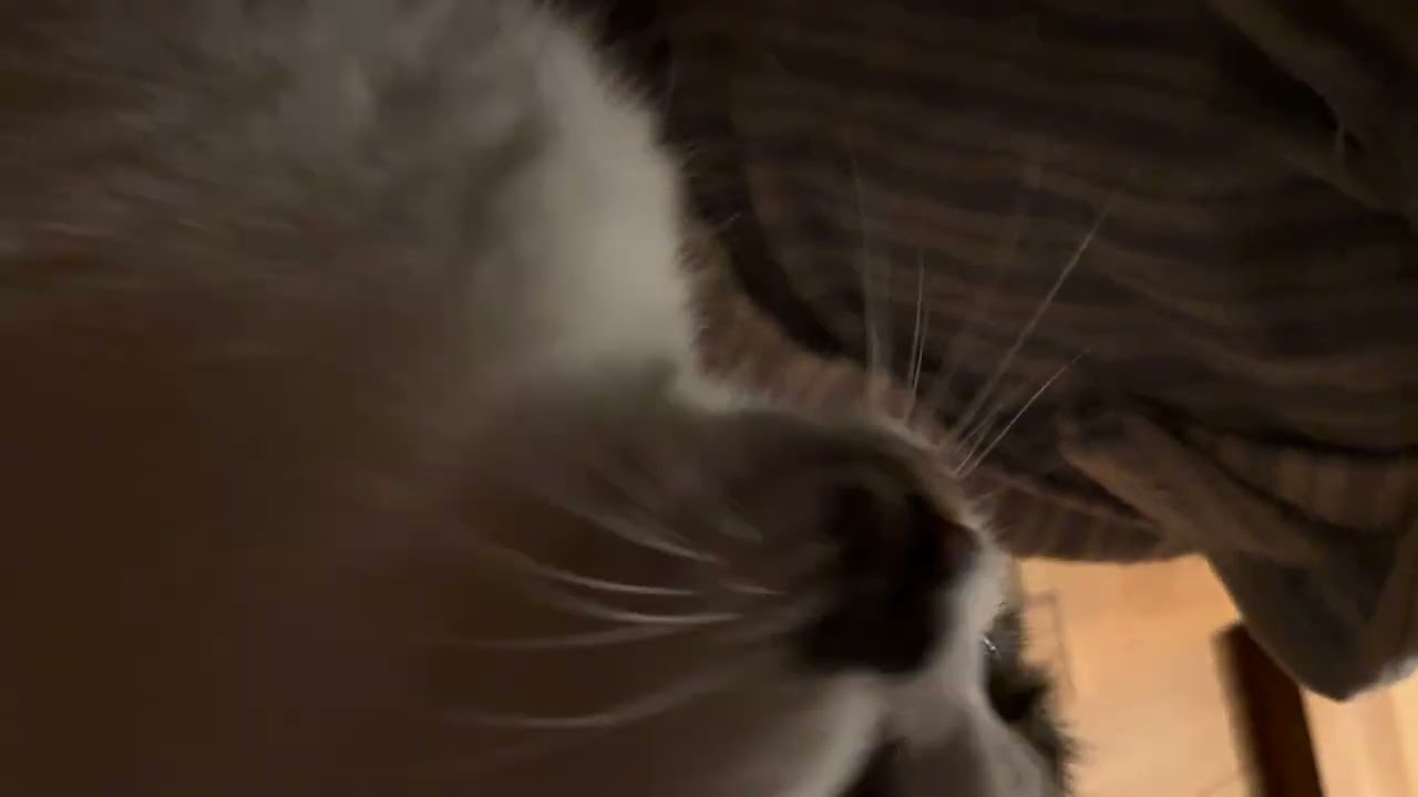 ごろごろ