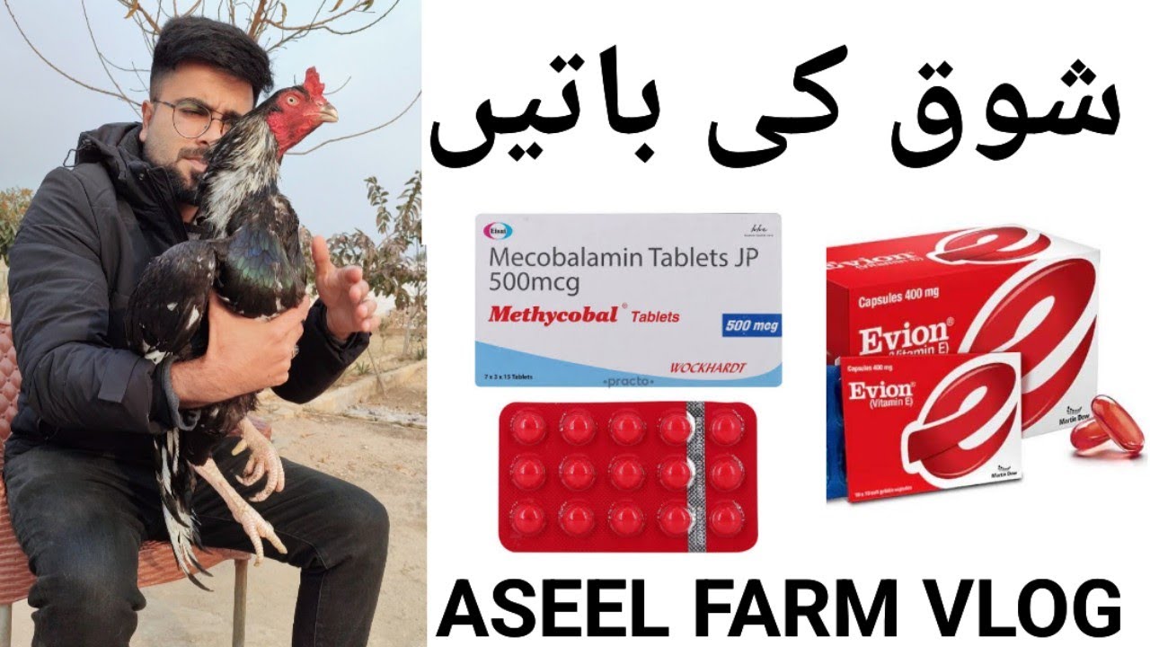 Use of Evion Capsule and Methycobal Tablets in Aseel Shoq | Aseels Daily Vlog