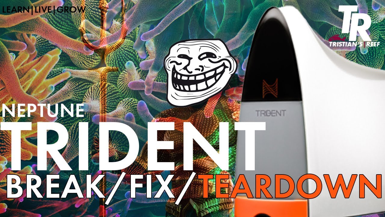 Tristian's Reef: Trident Breakdown/Fixing Trident Issues/Test Vial Cleaning