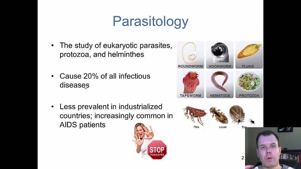 Chapter 23   The Parasites of Medical Importance (CC)