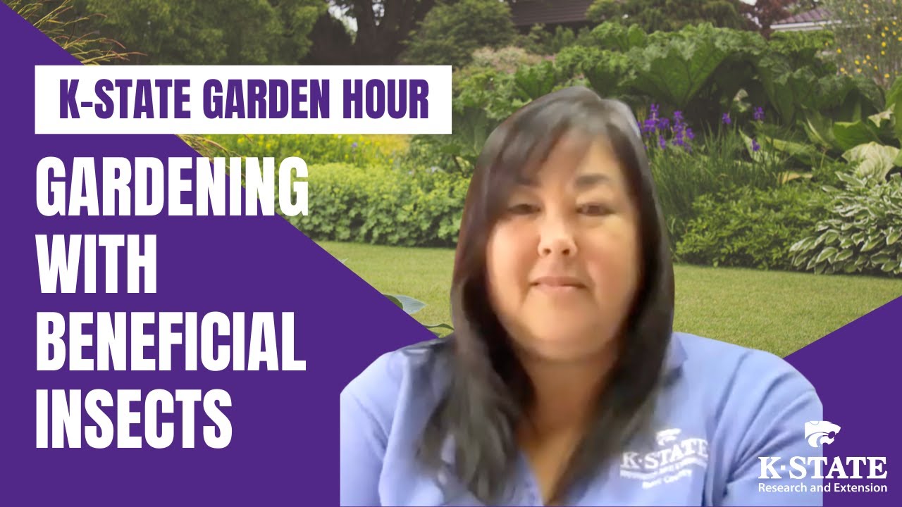 K-State Garden Hour: Gardening with Beneficial Insects