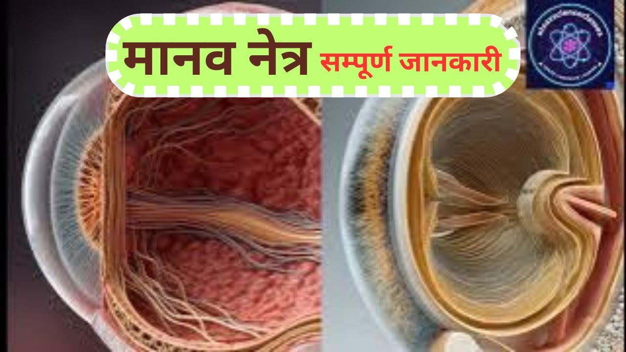 मानव नेत्र की सम्पूर्ण जानकारी । human eye 