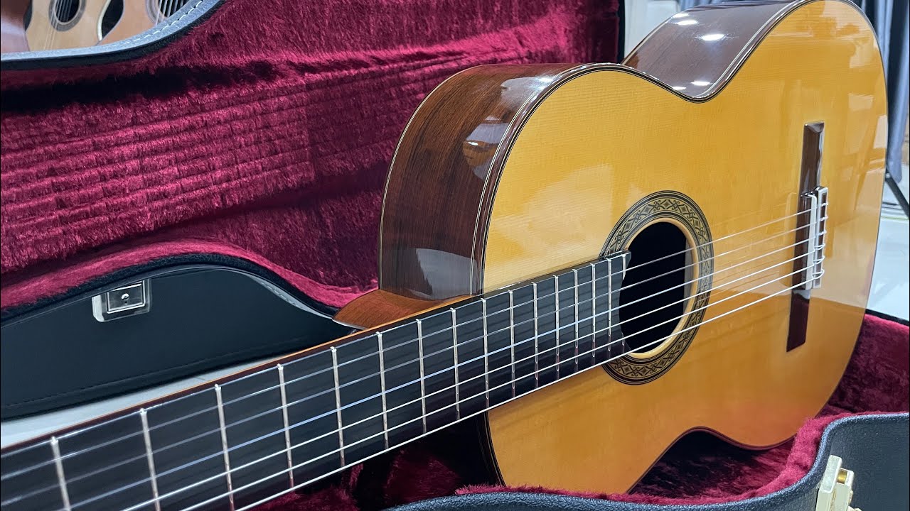Guitar Cao Cấp SAKURAI KOHNO Professional J & HANIKA 50MC .