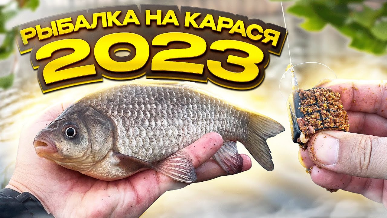 КУБАНСКИЕ КАРАСИ ГНУТ ФИДЕР! Весенняя рыбалка на карася 2023