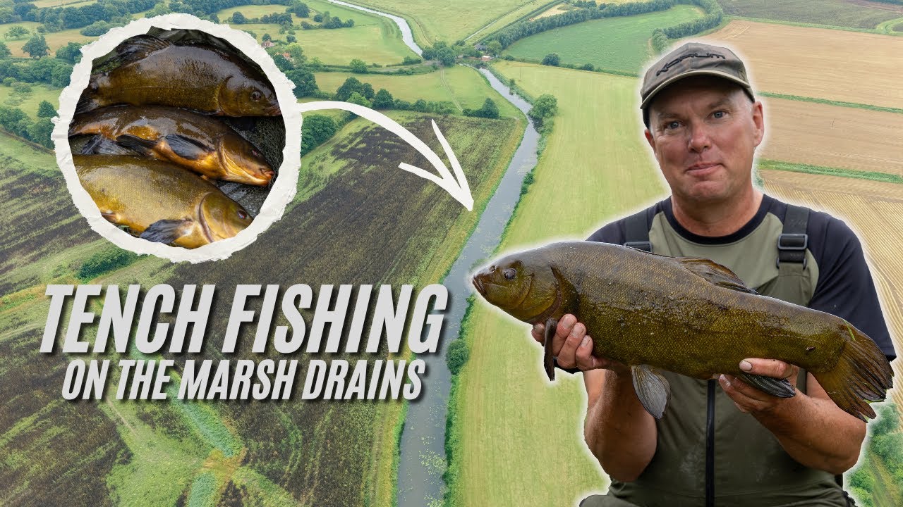Tench Fishing on the marsh drains | River tench | Korum