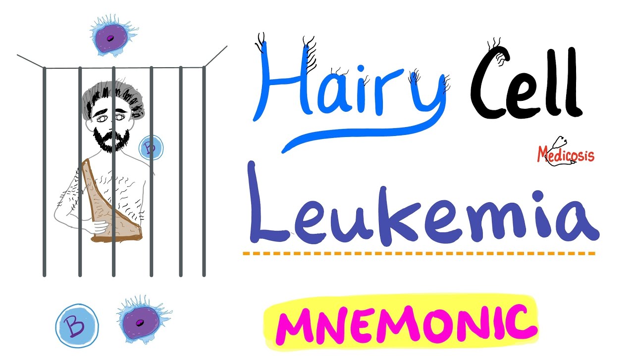 Hairy Cell Leukemia (HCL) - Mnemonic - BRAF - TRAP - Hematology and Oncology Series