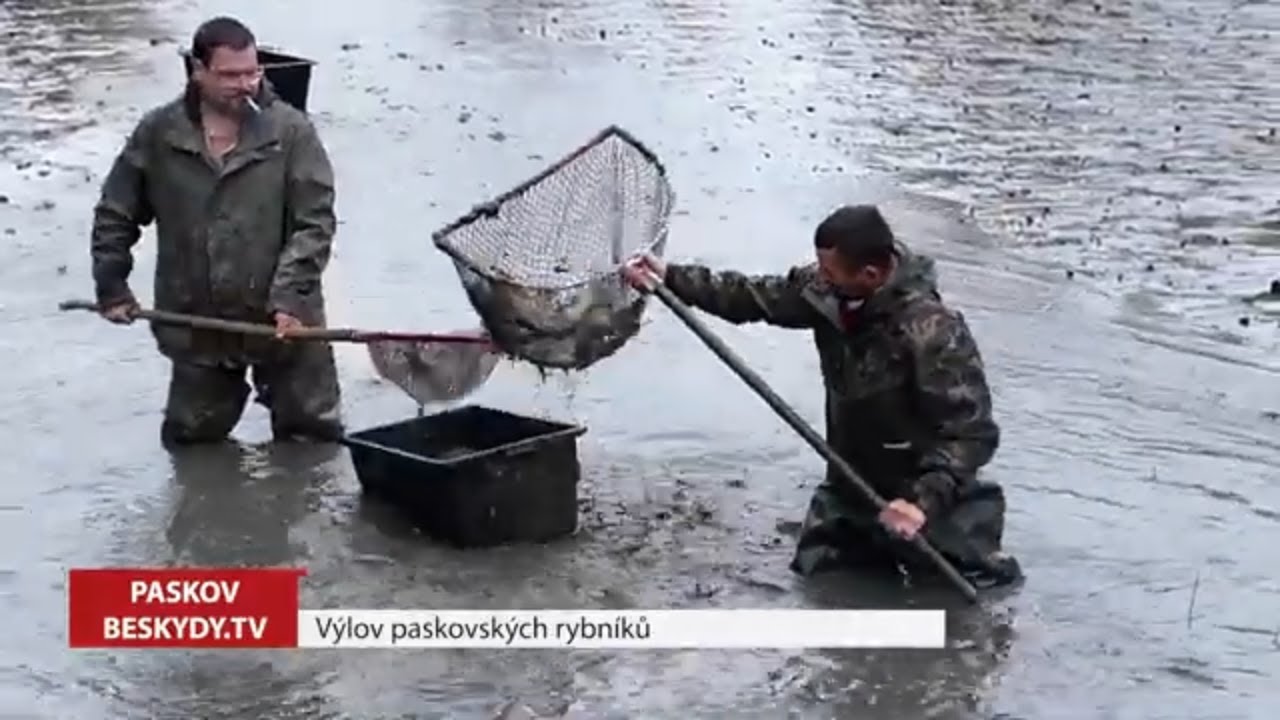 Paskov ► Výlov paskovských rybníků │ #Beskydy.TV │ @BeskydskaTelevize