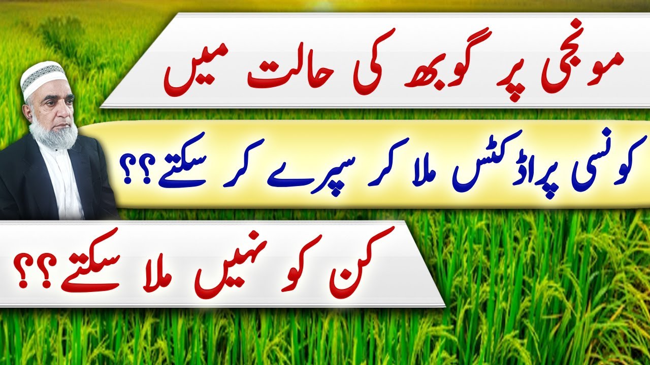 Which sprays should not be used together in Rice crop || Crop Reformer