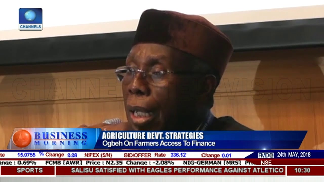 Audu Ogbeh Wants African Government To Upscale Agric Financing For Farmers |Business Morning|