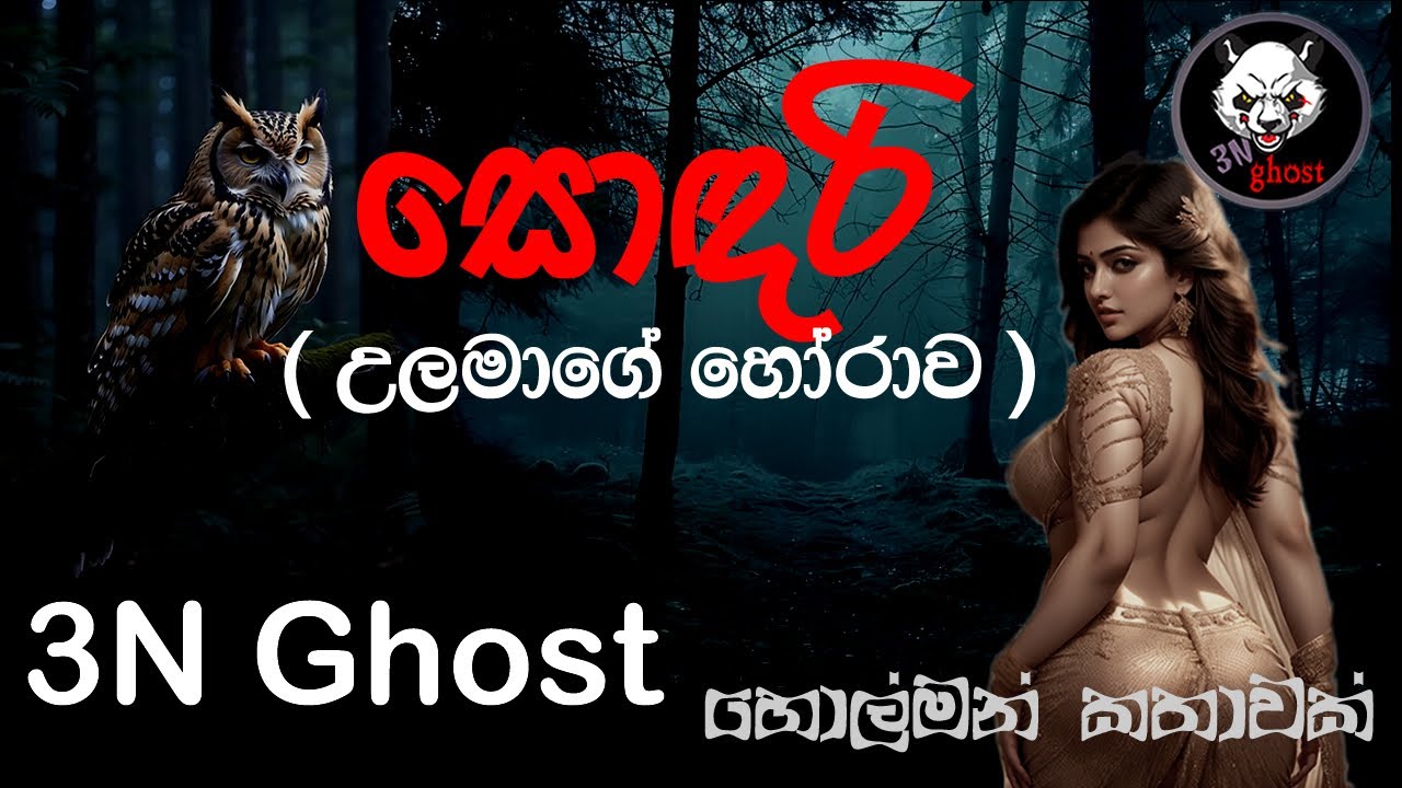 සොඳරි | @3NGhost | සත්‍ය හොල්මන් කතාවක් | Sinhala holman katha | ghost story 350