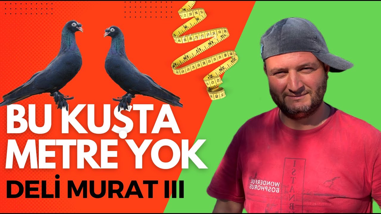 11 Saat Uçan Kuşlar Murat Atasoy III (Uçum Videosu)