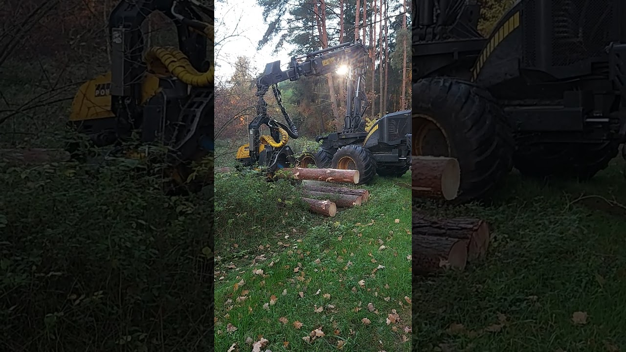 PRACA W LESIE PONSSE BUFFALO PONSSE ERGO FOREST WORK (ZRYWKA,WYCINKA)